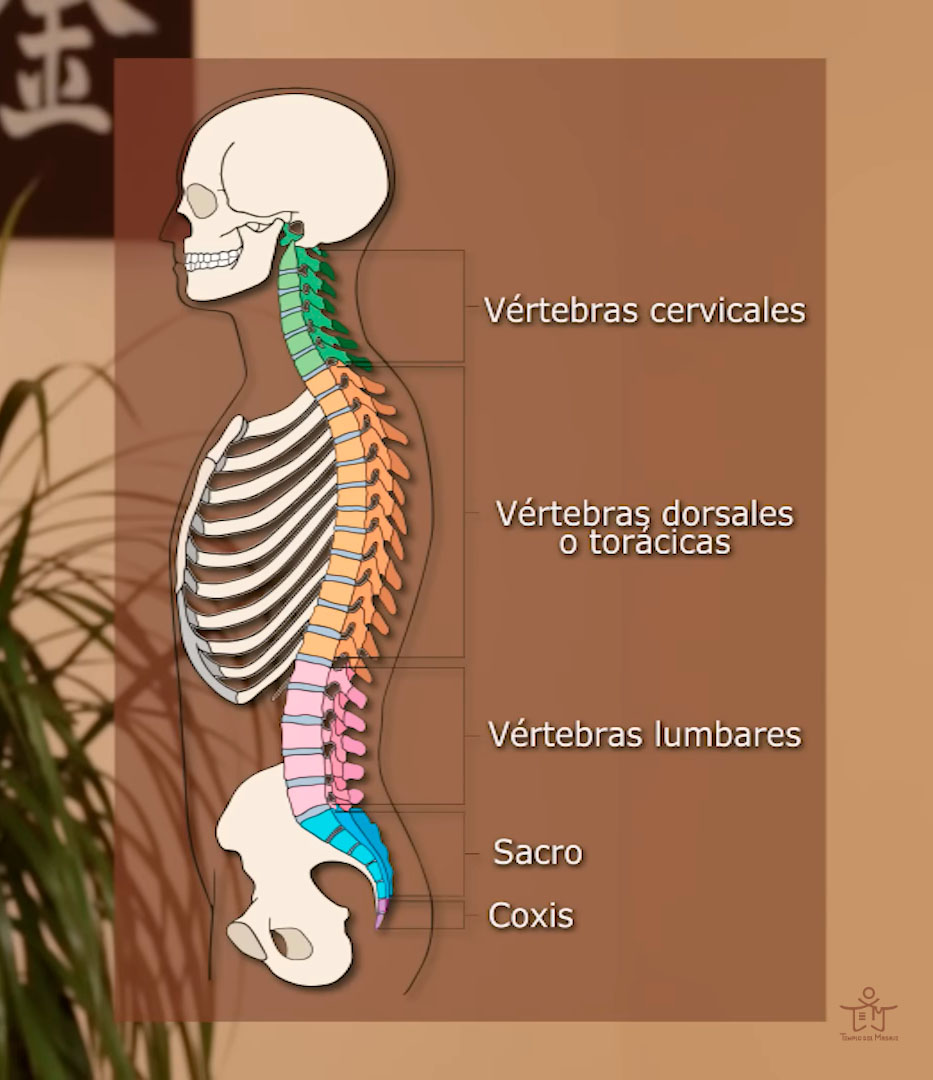 Aliviar el dolor de espalda con masaje