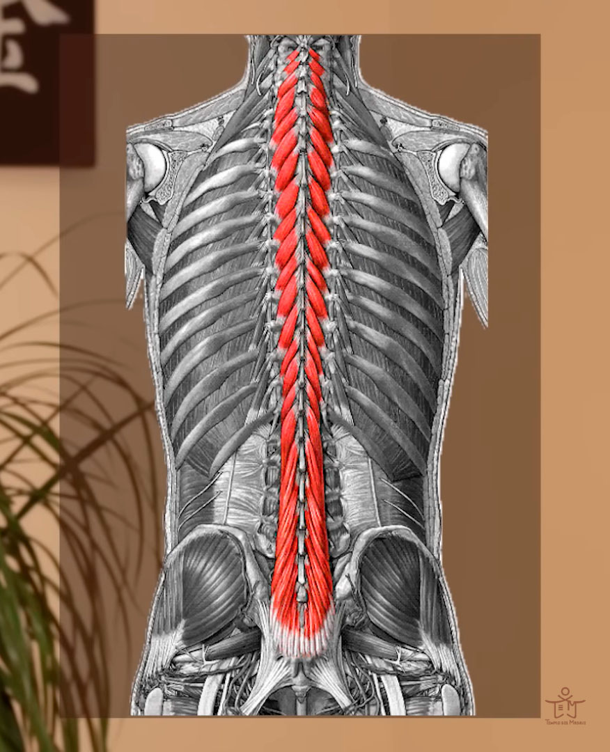 Cómo reducir el dolor de espalda