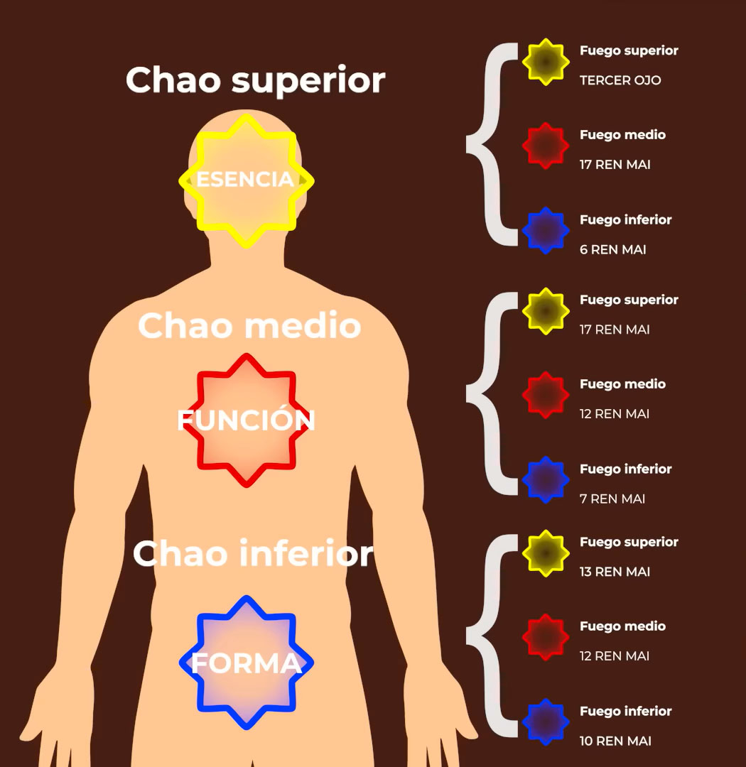 Cuáles son los puntos que componen a los 3 chaos del cuerpo